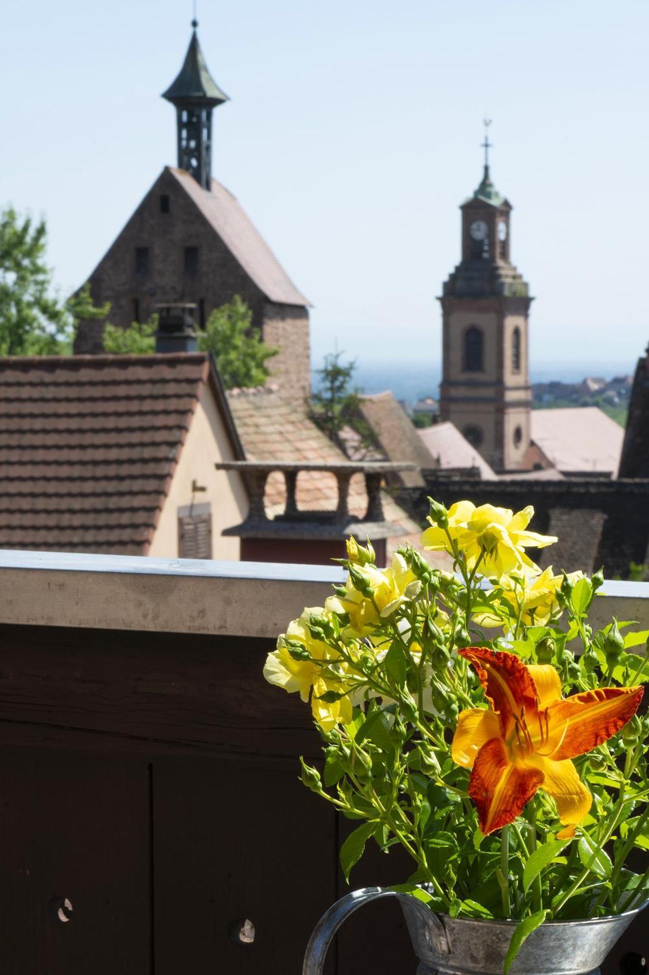 Apartament Riesling - Vue Imprenable Sur Le Vignoble - Renove Recemment - Parking Gratuit Riquewihr Zewnętrze zdjęcie